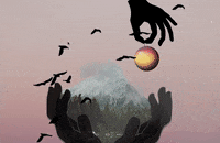 NobleEducator  GIF