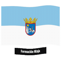 Castilla Y Leon Flag Sticker by Formación Ninja