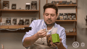 will friedle feathers GIF by Alpha