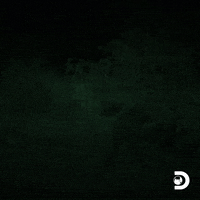 We Are Not Alone Naked And Afraid GIF by Discovery