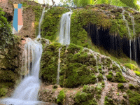 Tiere-Pflanzen-Umwelt Mehr-Als-100000-Eur GIF by FranchiseONE.de