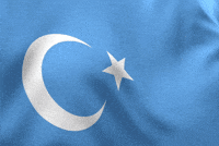 East Turkestan Flag GIF