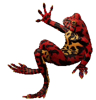 Frog Sticker by Meta