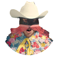 Cowboy Summertime Sticker by Columbia Records