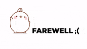 GIF by The Majurity Trust