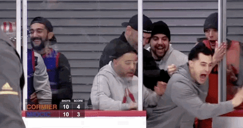 The Ultimate Fighter Hockey GIF by UFC