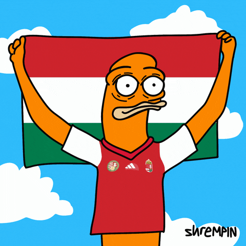 Football Soccer GIF by shremps