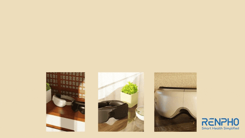 Fitness 3D GIF by RENPHO