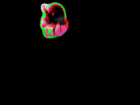 easter bunny fun GIF by MFD