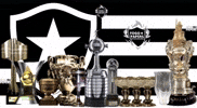 Botafogo De Futebol E Regatas GIF