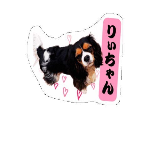 Cavalierkingcharlesspaniel Sticker