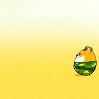 French Bulldog Cat GIF by UpStudiosWorld