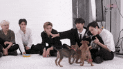 Stray Kids Stay GIF by BuzzFeed