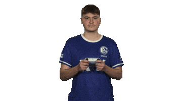 Fifa Wtf Sticker by Bundesliga