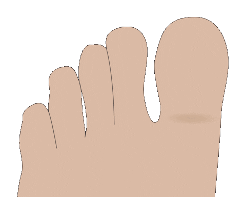 Feet Pie Sticker by Clinisalud