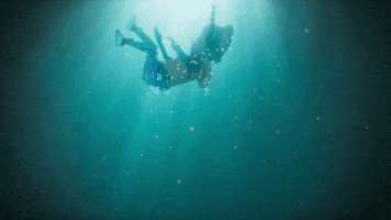 coldplay girl life sea sky GIF