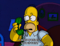 sad homer simpson GIF
