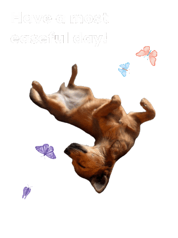 All Will Be Ok Chill Out Sticker by Breathing Room