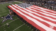 National Football League GIF by NFL