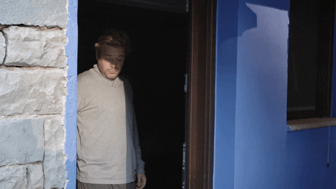 De Mol GIF by VIER