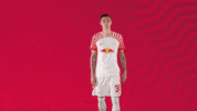 Weiss Nicht No Idea GIF by RB Leipzig