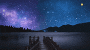 Television Stars GIF by Mediaset España