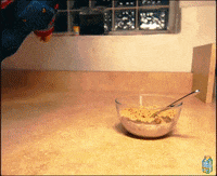 doihavethesause GIF by Ski Mask The Slump God