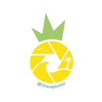 Beach Ohana Sticker by OHANAPHOTOSHOP