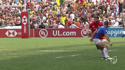 oh brother do not want GIF by World Rugby