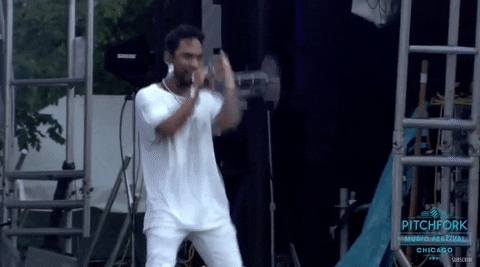 pitchfork music festival GIF by Pitchfork