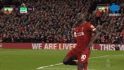 Premier League Liverpool GIF by MolaTV