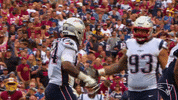 Happy Lawrence Guy GIF by New England Patriots