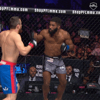 pflmma mma espn pfl trashtalk GIF