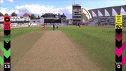 Cricket GIF by The Hundred