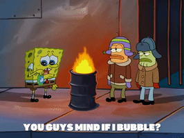 season 5 GIF by SpongeBob SquarePants