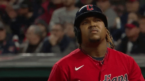 Mlb Postseason What GIF by MLB