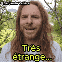 Bizzard GIF