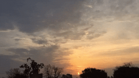 Cant Stop Wont Stop GIF by bryan