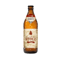 Apres Ski Christmas Sticker by steinmann@inallermunde