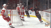 Oh Yeah Nhl GIF by San Diego Gulls