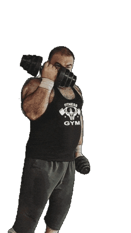 Gym Bear Sticker by Database數據