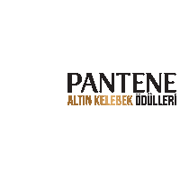 4129grey Sticker by Pantene