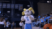 University Of North Carolina Sport GIF by UNC Tar Heels