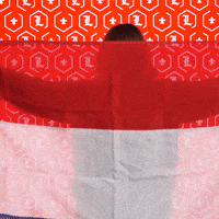 Diving Swimming GIF by Louisville Cardinals