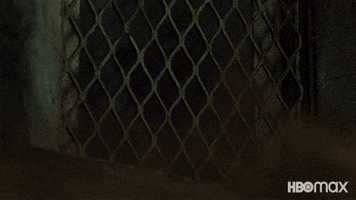 Wonder Woman Dc GIF by Max