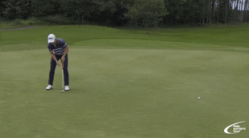 pgaeuroprotour no golf oh no how GIF
