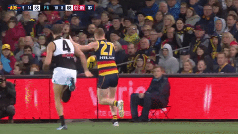 round 20 celebration GIF by Adelaide Crows