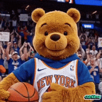 New York Nba GIF by Cantina