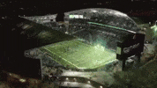 Cfl_commish stadium cfl regina mosaic GIF