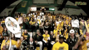 university of vermont uvm GIF
